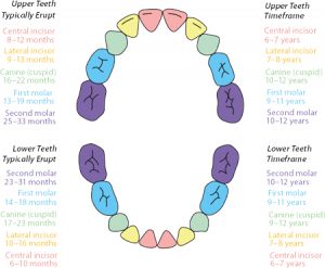 Star Babies Baby Dental Clinic | Star Kids Pediatric Dentistry